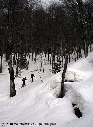 The end of road, we started to climb in forest