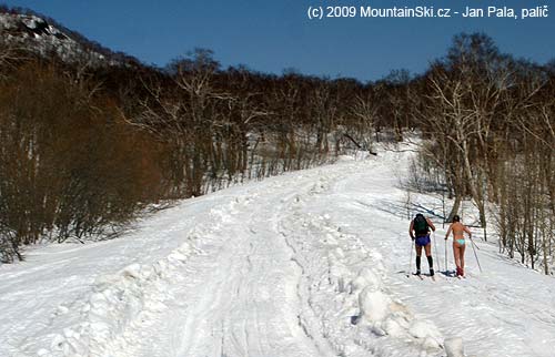 Cross-country skiers next to snow road