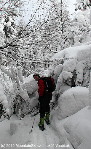 Bylo nebylo, těžký sníh ohýbal a lámal stromy, jeden z nich nám zatarasil cestu