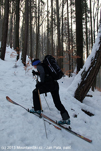 Ascend to the side ridge led fairly dense forest