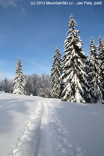 Malá Fatra 17. 1. 2013  – powder everywhere below the tree line…