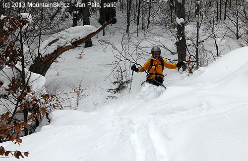 Simona skiing through the forest overfilled with the powder snow