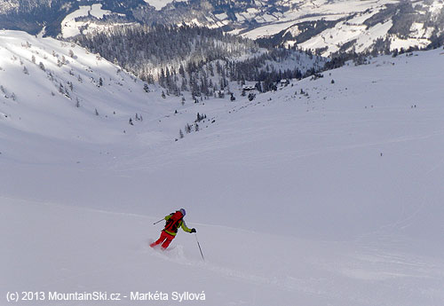 From Pleschnitzzinkenu down to the valleyí – slope, forest, ski-resot, pasture