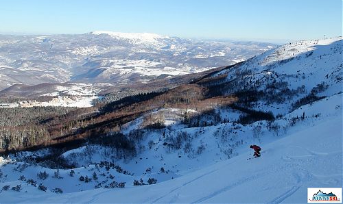 The valley in powder