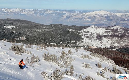 Už je tady vegetace... ale prašanu je stále dost!