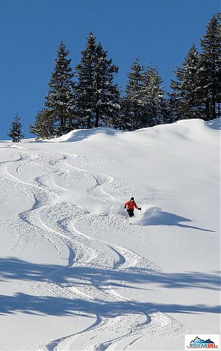 Trace by trace, that's the proper way of freeride skiing
