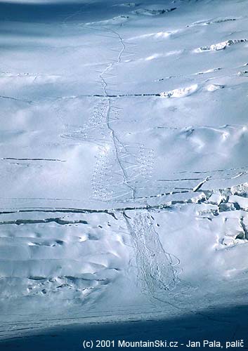 Pohled od prvního výškového tábora na moréně Leninova ledovce na dolní část severní stěny Piku Lenina, lavinové dráhy vznikly napravo od výstupové stopy pod velkou trhlinou