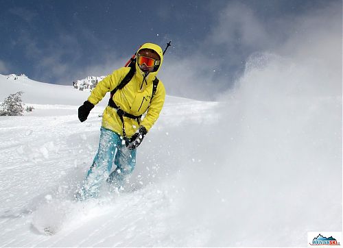 Who beat the powder, then behave… at least during the day