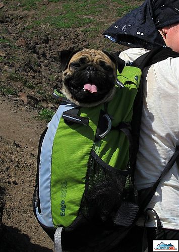 Jumni was carried in backpack almost all the time