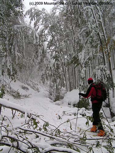 Nor wind, nor snow, nor falling trees stop us!