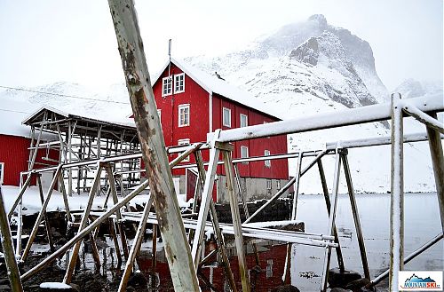 Abandoned fishing buildings