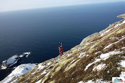 Return back, there is the island with seals down