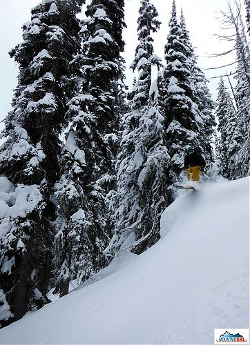 Shitty skiing in Kootenay Pass, dry spell week 2