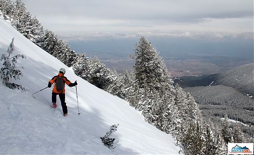 Je libo lyžování v kosodřevině a lese? Bansko nabízí spoustu možností...