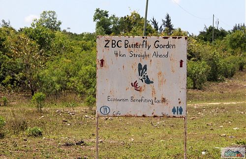 Eco a Ecotourism jsou dvě základní mantry na Zanzibaru