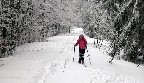 Oblast návějí nebyla na běžkách nejpříjemnější