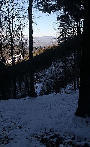 Vzadu zleva Čertův Mlýn a Kněhyně, v popředí výsledek aktivit divočáků