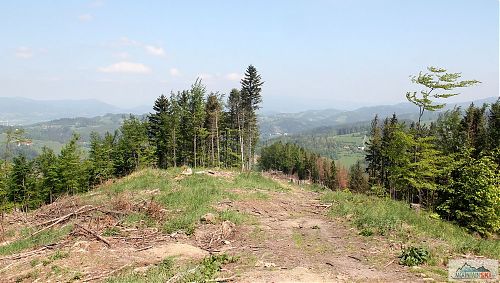 Kousek od Štípy směrem na sever - dole už vykukuje Svantovítova skála