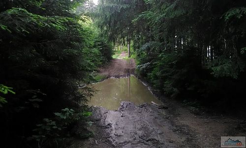 Červená hřebenovka má místy úpravy podle traktorisů a motorkářů