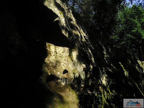 Ze skal a mechů na Horních Lačnovských skalách