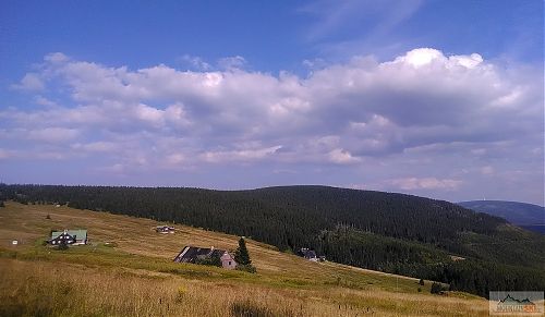 Výjezd z lesa po K1A  s výhledem na Zadní Rennerovky