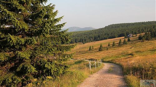 Sjezd ke Klínovce, vlastně ne, kolo jsem vedl