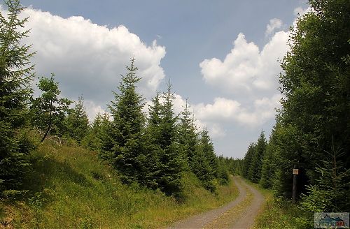 Překvapení - cyklostezka K17 není pokrytá asfaltem! Ale je, ale asfalt začíná o kus níže