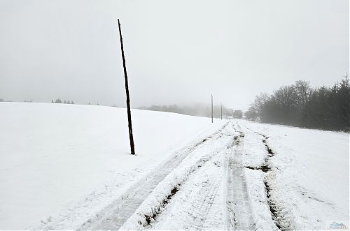 Autem či auty rozježděné louky u Nového Města