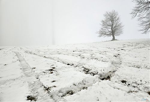 U větrníků měli dementi zřejmě závody