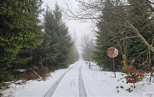 Z Vitišky směr Pramenáč, další IQ tykve za volantem i přes zákaz vjezdu