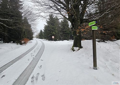 Auta jsou všude, zákazy vjezdu jsou jen výsměch