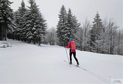 V běžkařsém areálu bez úravy stop