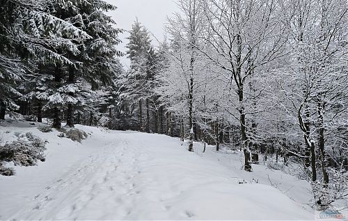 Rolba tudy nejela, ale pěšáků prošla spousta