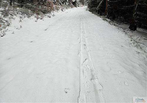 Dementní pěší smíšená dvojice...