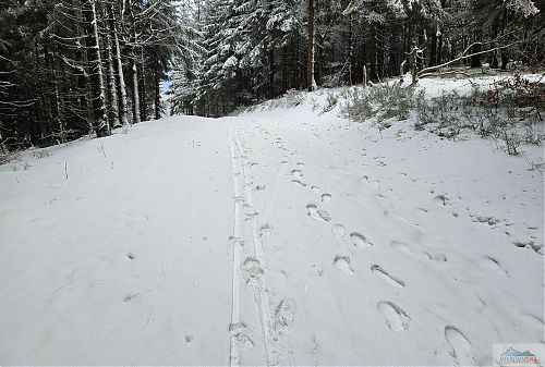 Další úsek s pěšími dementy, evidentně je ta silnice natolik úzká, že se vejdou jenom na běžkařskou stopu